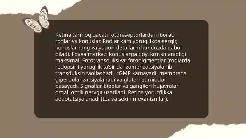 Sezgi aʼzolari 4