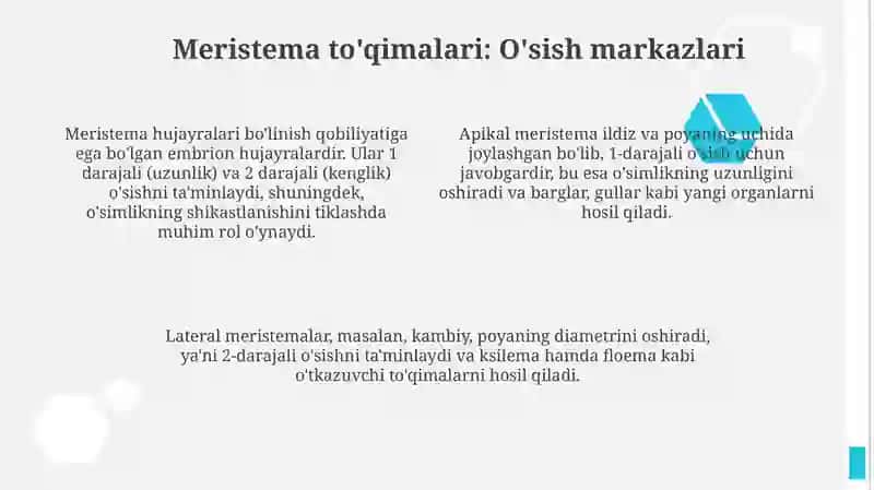 O'simliklarto'qimalari 4