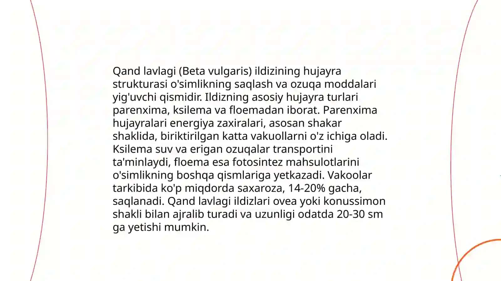 Qand lavlagi ildizining tuzilishi 4