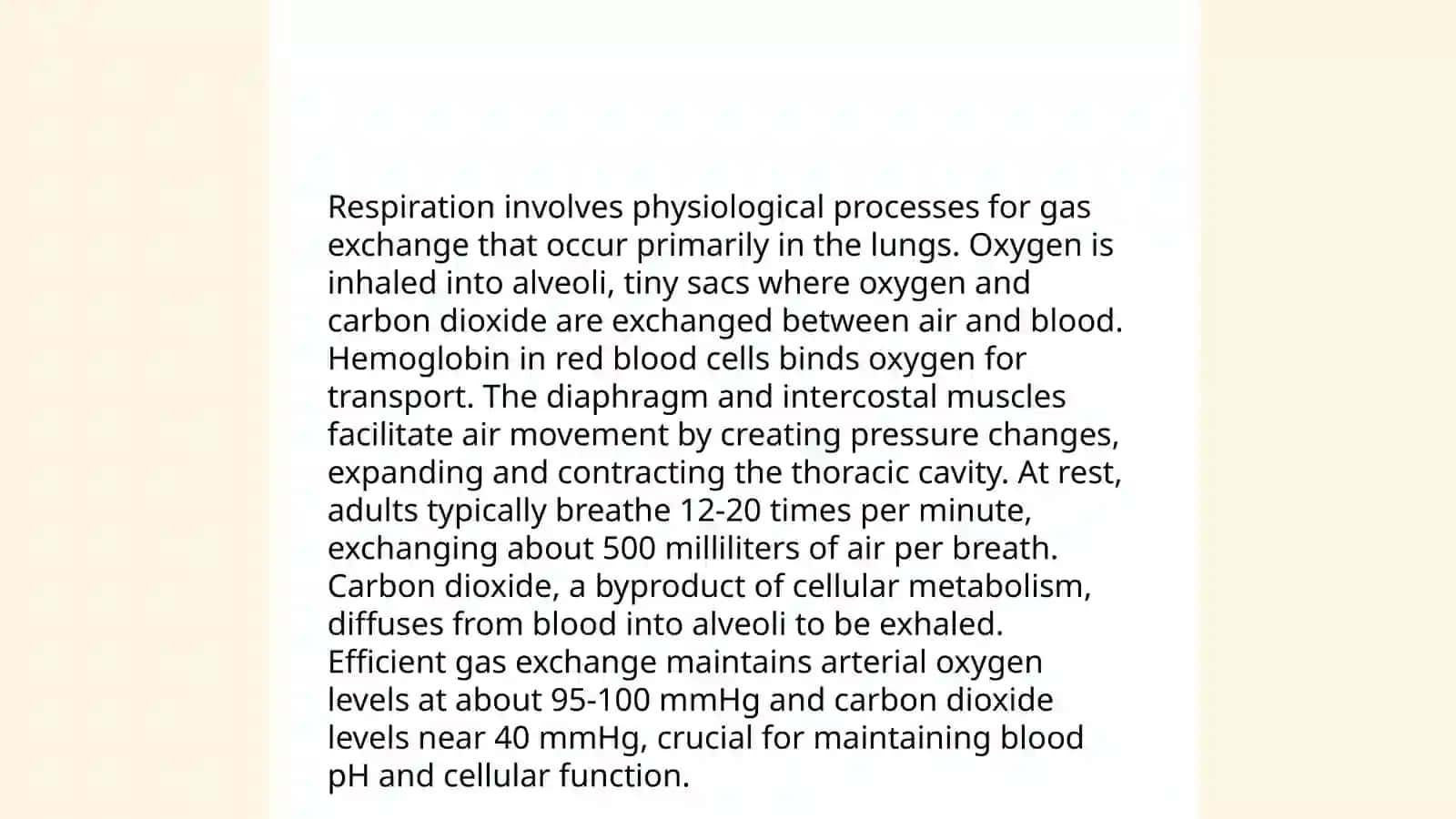Respiratory System 4