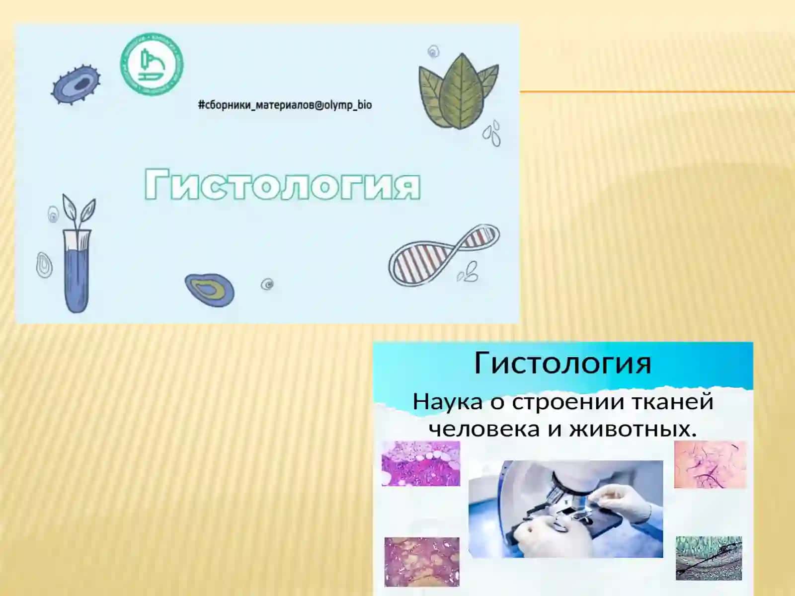 Gistologiya, Sitologiya va Embriologiya Fanidan Taqdimot 4
