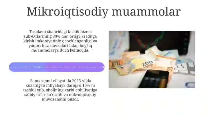 Mikroiqtisodiy muammolar va siyosat, yechimlar 4