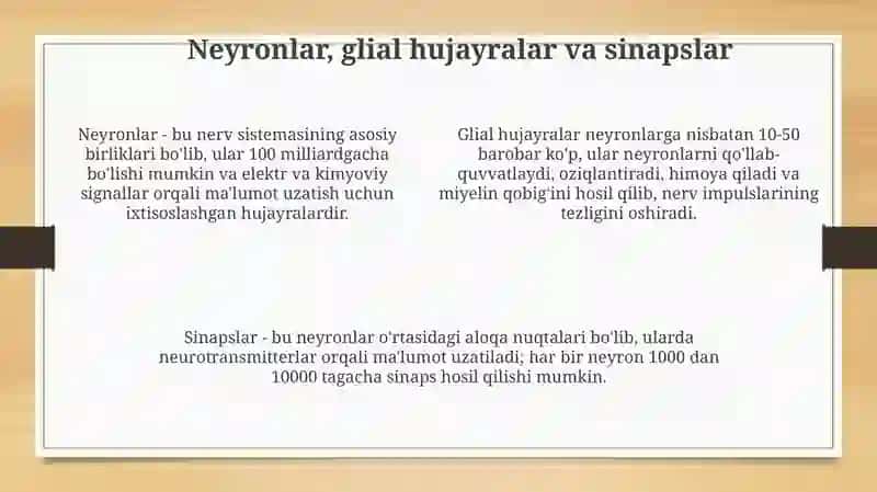 Nerv sestemasi 4