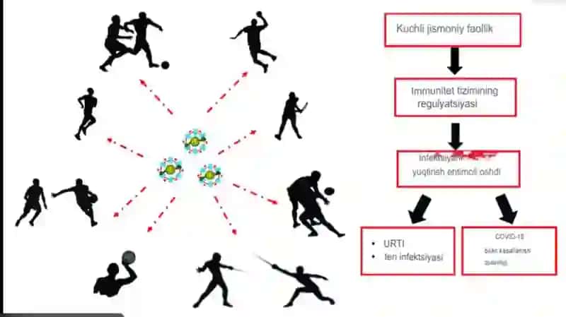 SPORTCHILARDA IMMUNITET TUSHUNCHASI 4