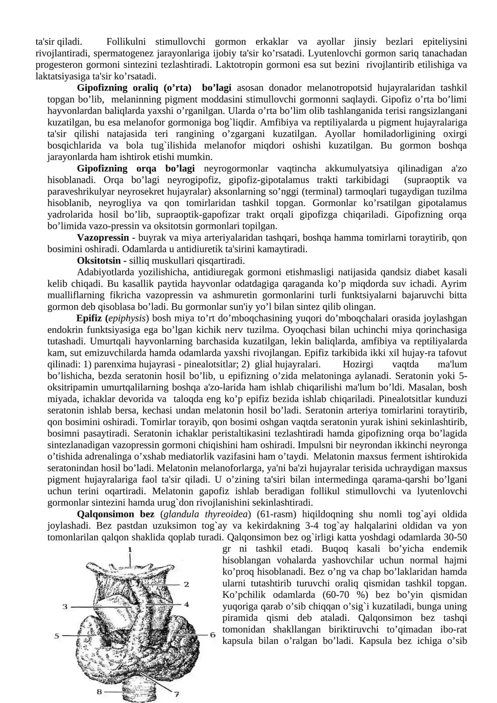 Endokrin tizim 4