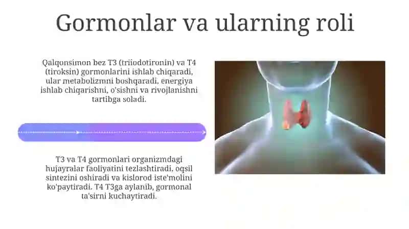 Qalqonoldi bezi 4