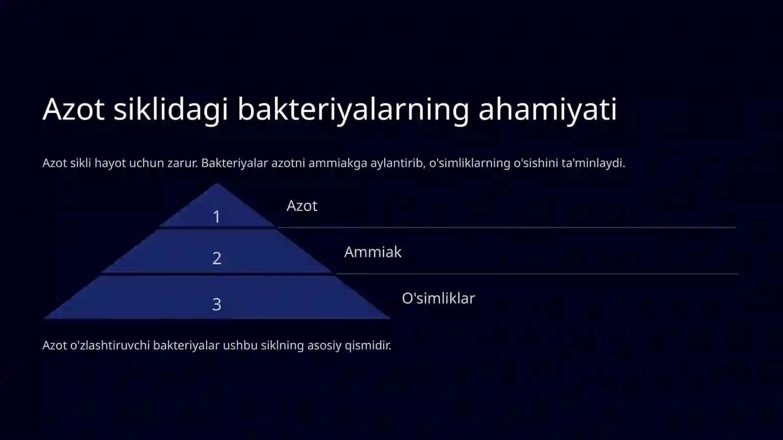 Azot oʻzlashtiruvchi bakteriyalar 4