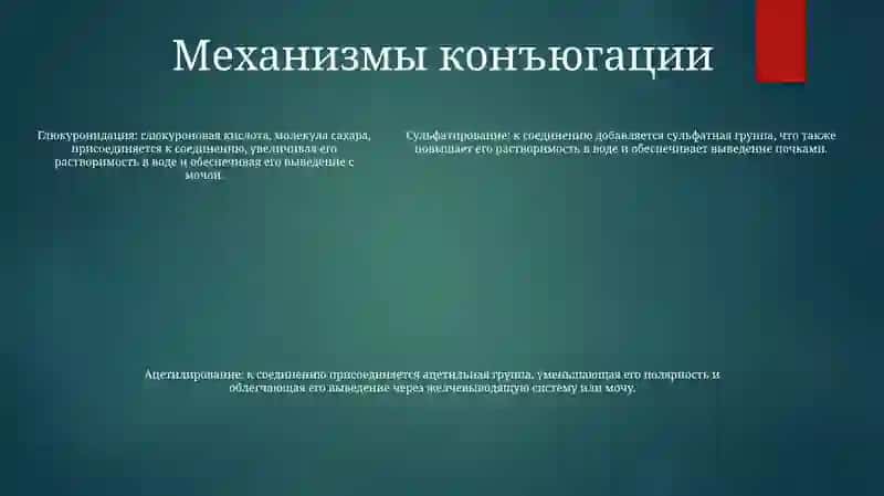 Спряжение 4