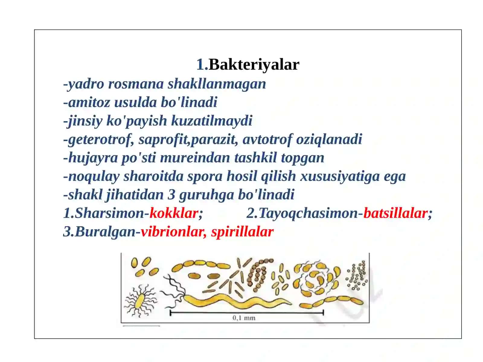 Hayotning hujayraviy shakllari 4