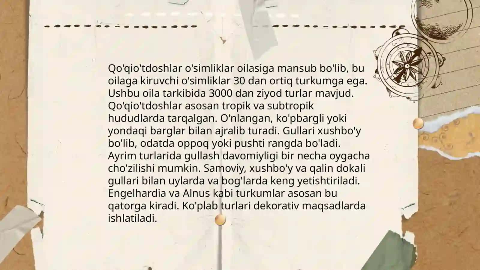 Qoqioʻtdoshlar oilasi 4