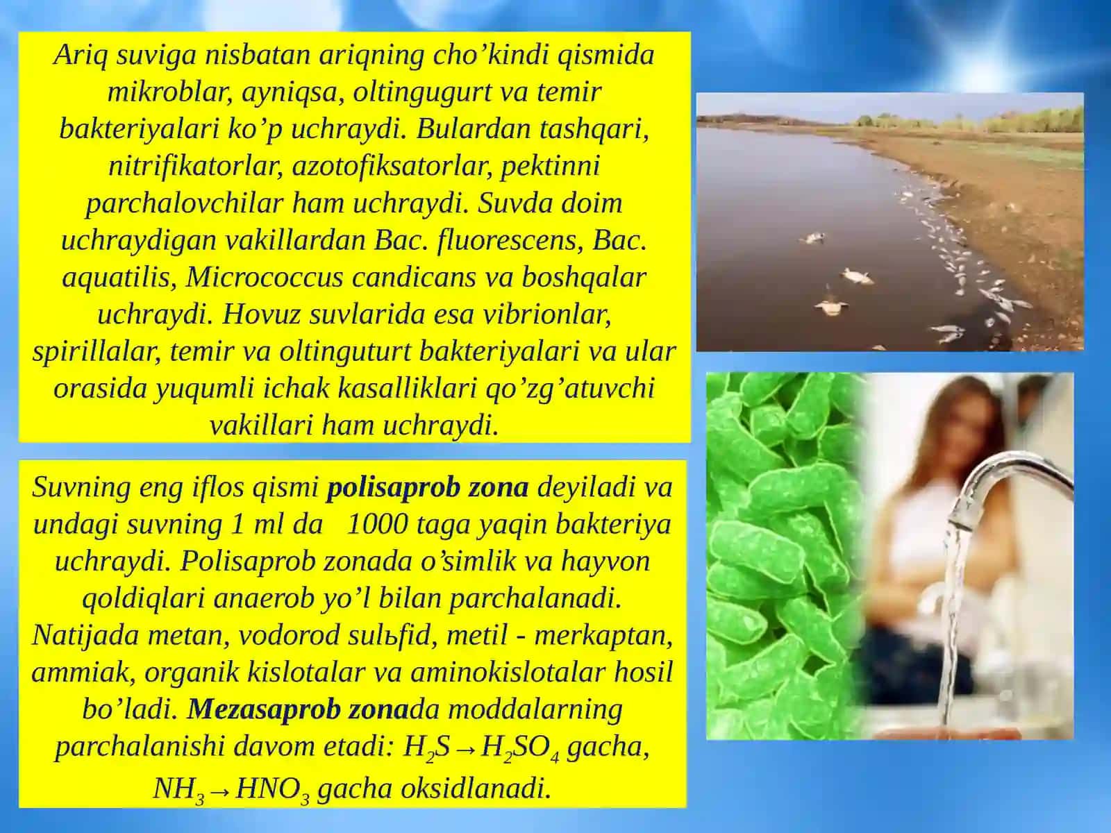 Biosfera va mikroorganizmlar ekologiyasi 4