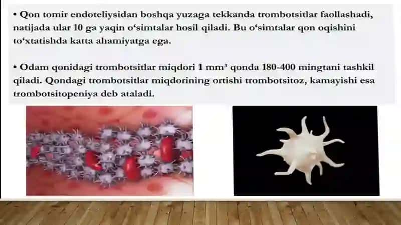trombotsitlar. Qonni ivishi 4