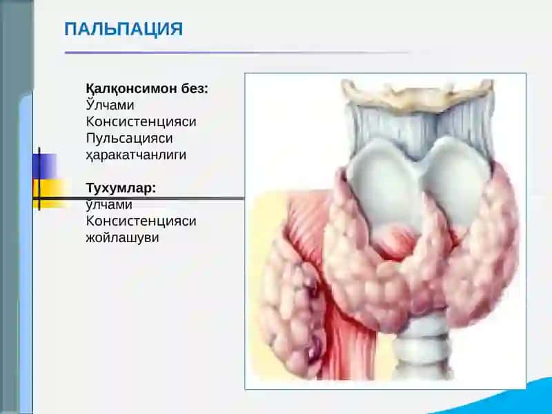 Эндокрин тизими касалликлари 4