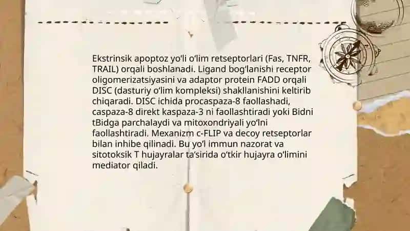 Apoptoz mexanizmlari 4