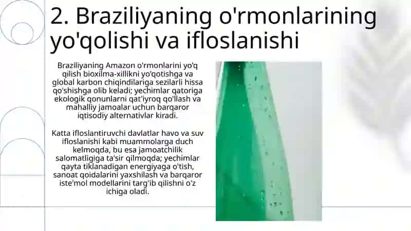 Ifloslanishning Globallashishi va Yechimlari 4