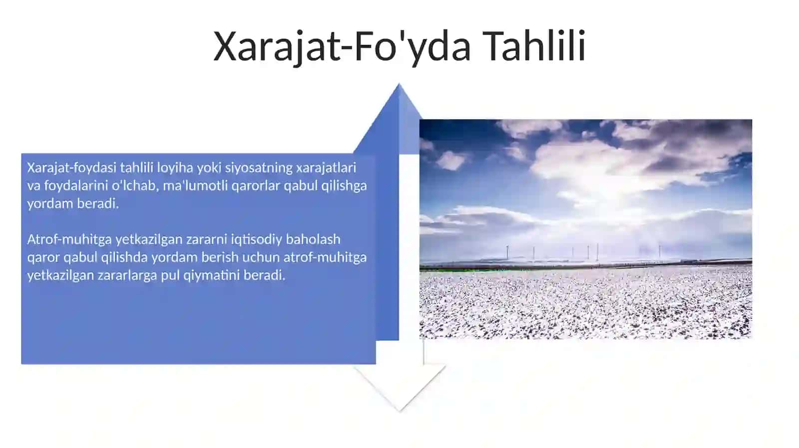 Atrof-muhit zararlanishining iqtisodiy baholanishi 4