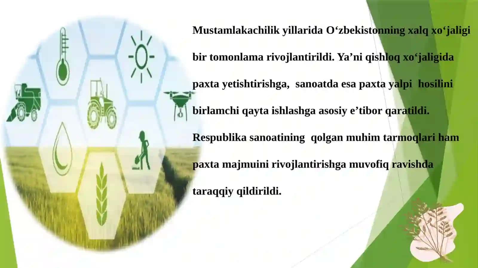 Mustaqillik yillarida qishloq xoʻjaligi va sanoat sohasidagi oʻzgarishlar 4
