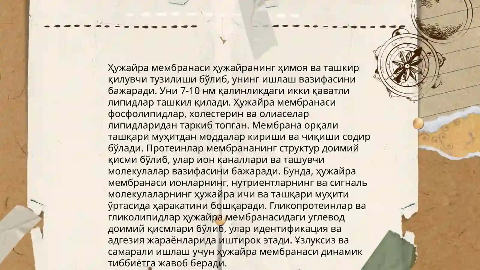 Ҳужайра тузилиши 4