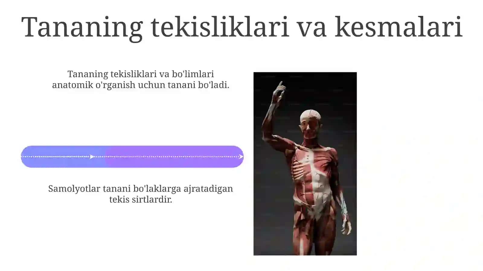 Anatomiyafaning rivojlanishi tarixiy 4