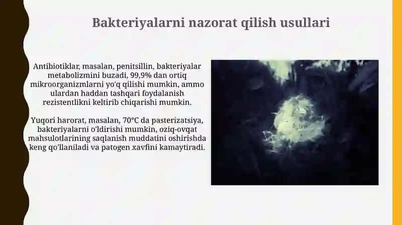 Ko'rinmas olam - Bakteriyalar 4