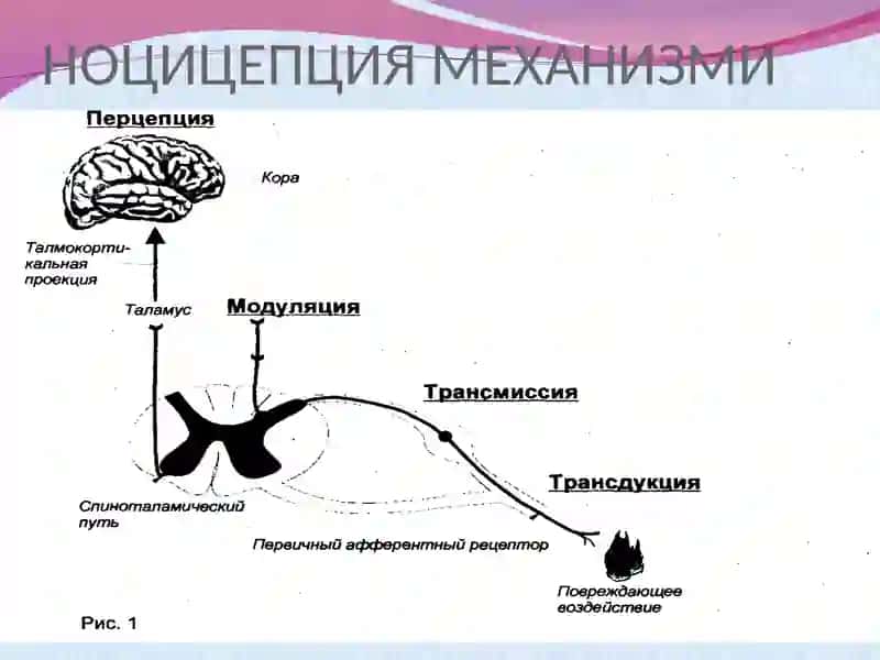 Умумий анестезия 4