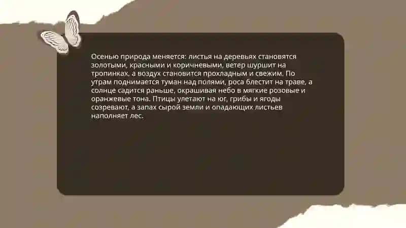 Моё любимое время года 4