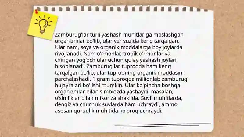 Zamburug'lar haqida ma'lumot to'plash 4