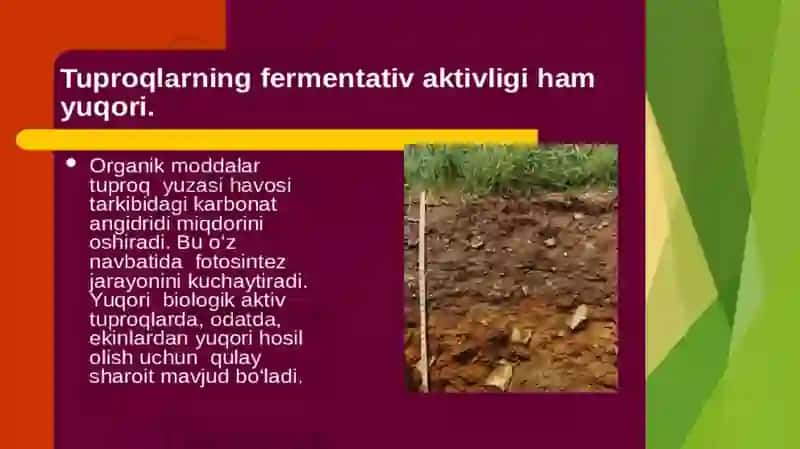 tuproq umumgeografik tavsifi 4