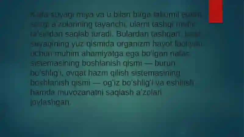KALLA SUYAGINING YUZ QISMI SUYAKLARI 4