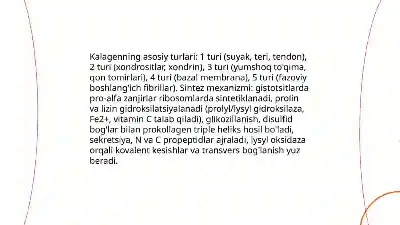 Kalagen va Elastik sintezi 4