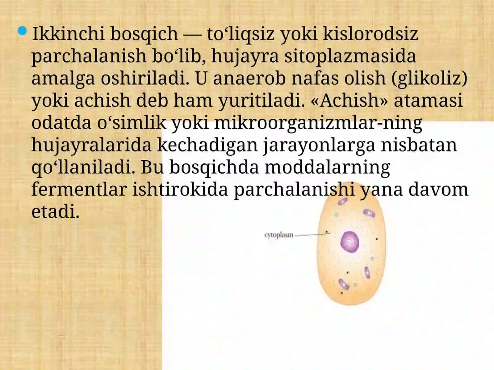 Energiya almashinuvibosqichlari 4