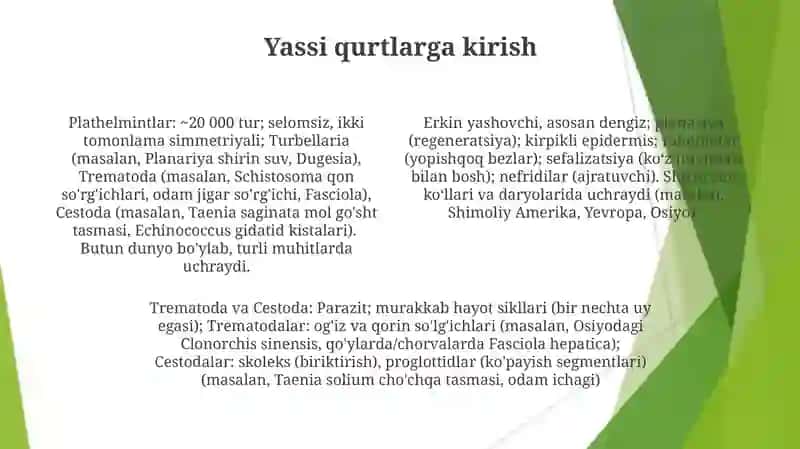 Yassi chuvalchanglar tipi va ularning vakillar 4
