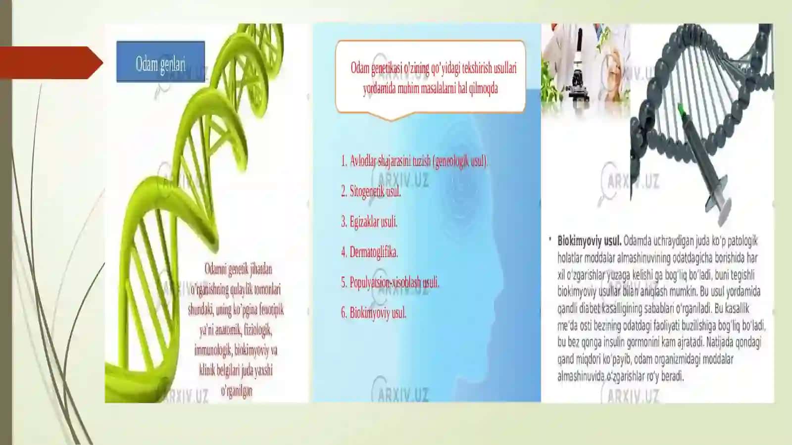 Odam genetikasi: sitogenetik, egizaklar, immunogenetika usullari 4