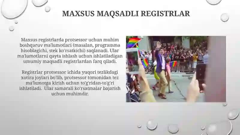 Registrlar va flaglar 4