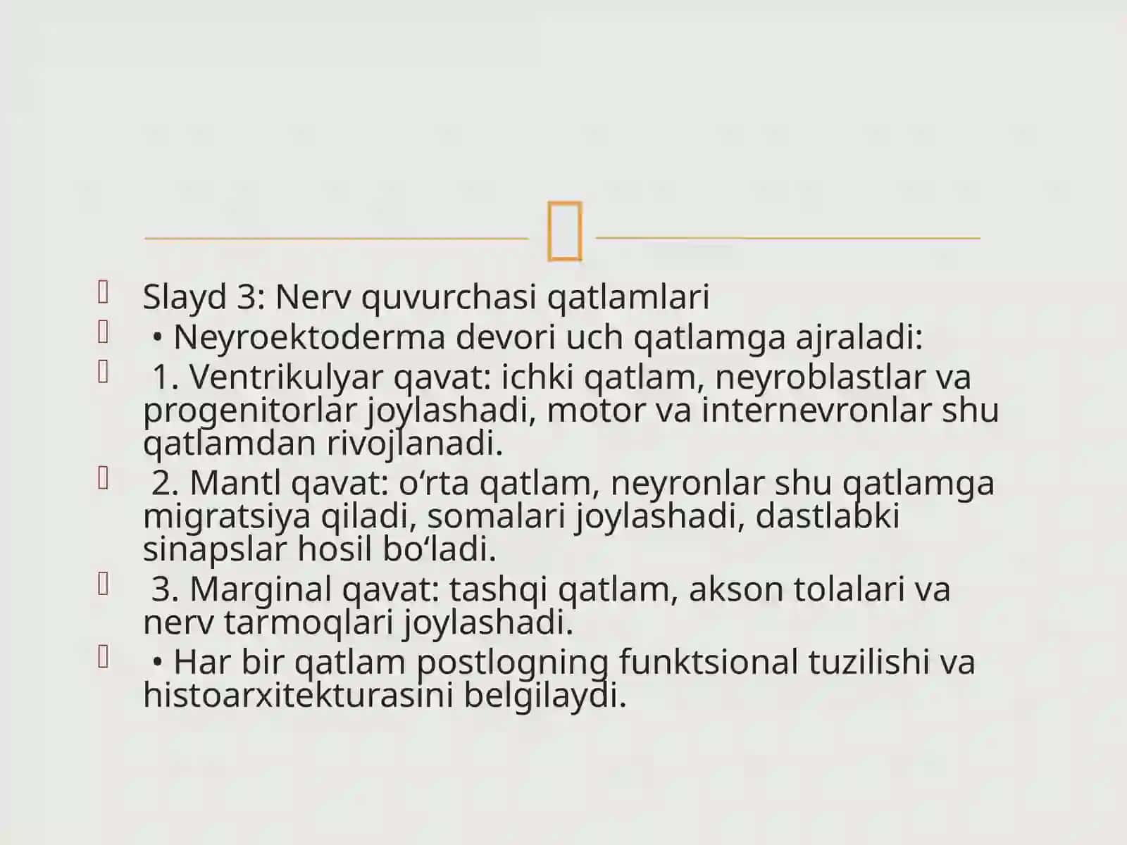 Bosh miya yarim sharlaripostlogining morfogenezi 4