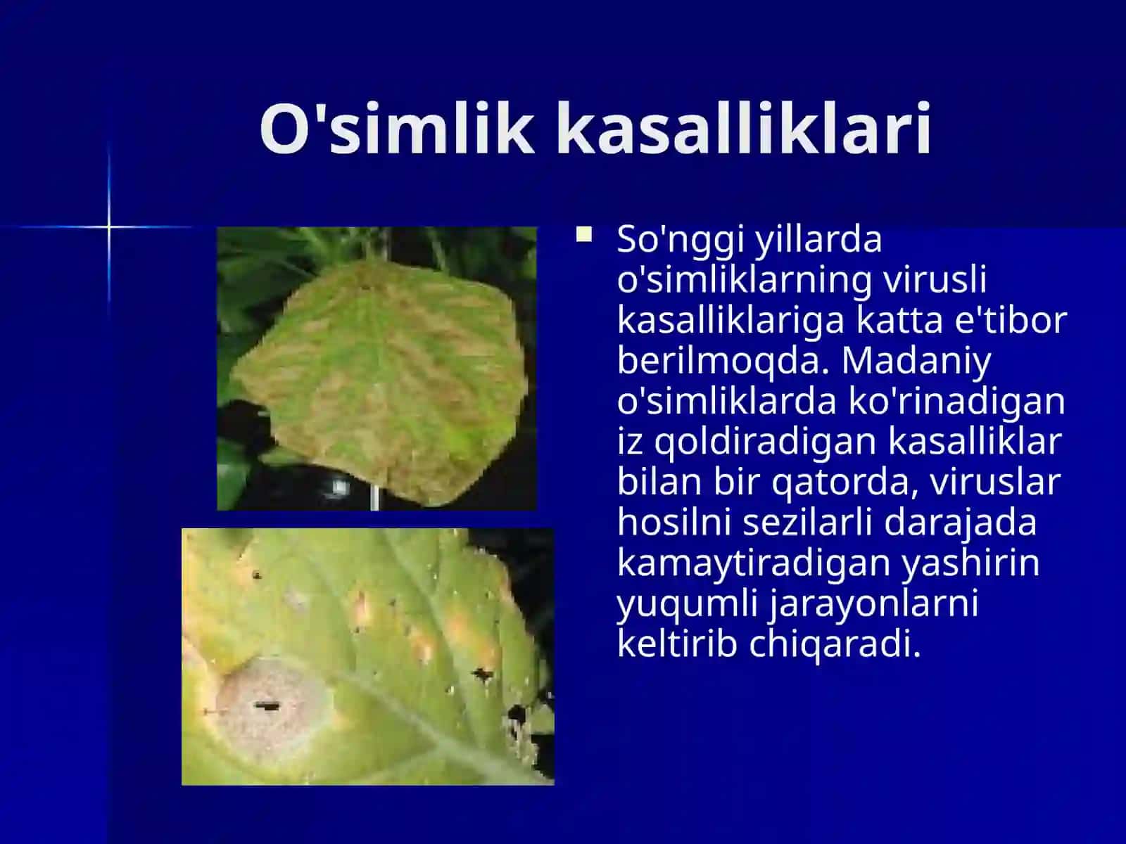 BIOTEXNOLOGIYA VA O‘SIMLIKSHUNOSLIK 4