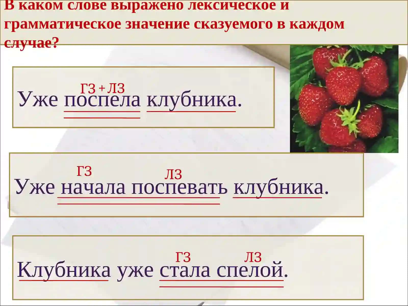 Сказуемое. Простое глагольное сказуемое 4