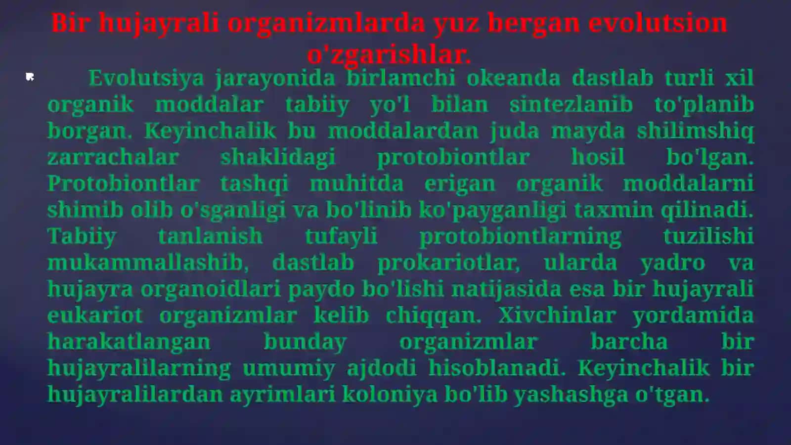 Hayvonlar filogenezi 4