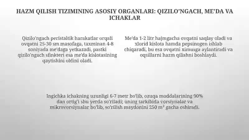 Og’iz bo’shlig’i va hazm yo’llari 4
