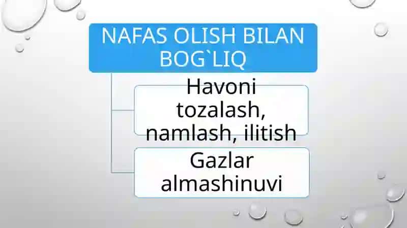 NAFAS OLISH SISTEMASI 4