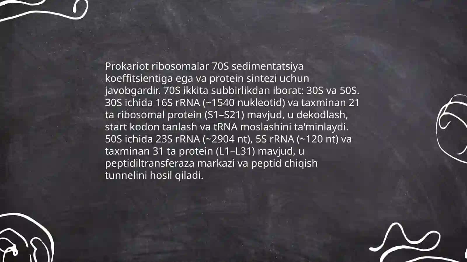 Ribosomalarning tuzilishi 4
