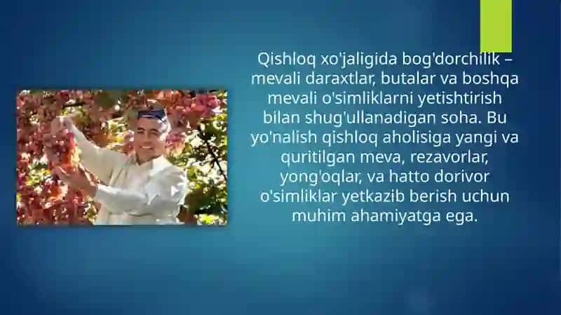 O’zbekiston qishloq xo’jaligida bog’dorchilik 4