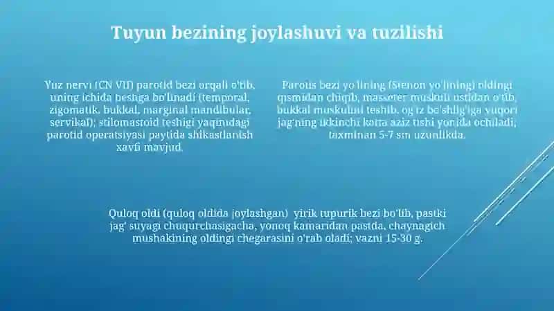 Yuz Nervining Topografiyasi va Shoxalari 4