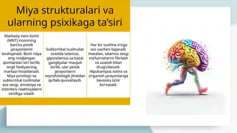 Miya va psixika o‘rtasida funktsional bog‘liqlik 4