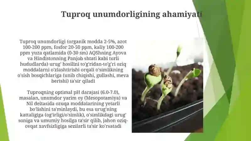 Urug' hosildorligi tahlili 4