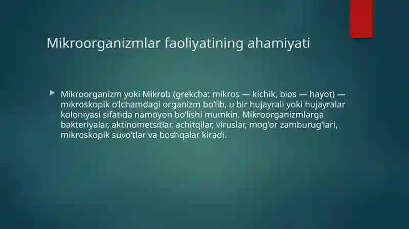 Mikroorganizmlar faoliyati 4