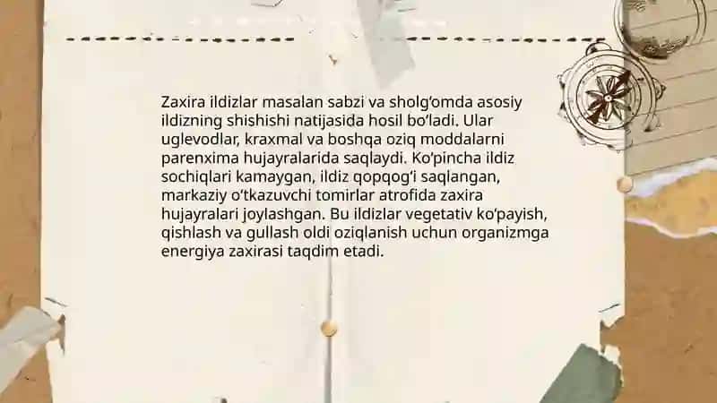 Ildiz, poya, barg metamorfozi 4