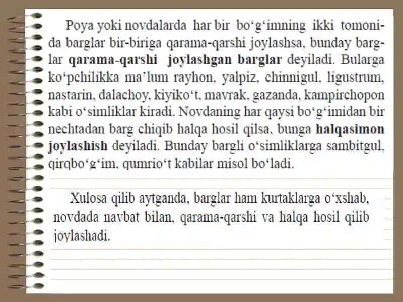 Novdada barglarning joylashuvi.Shakli  o`zgargan barglar. 4