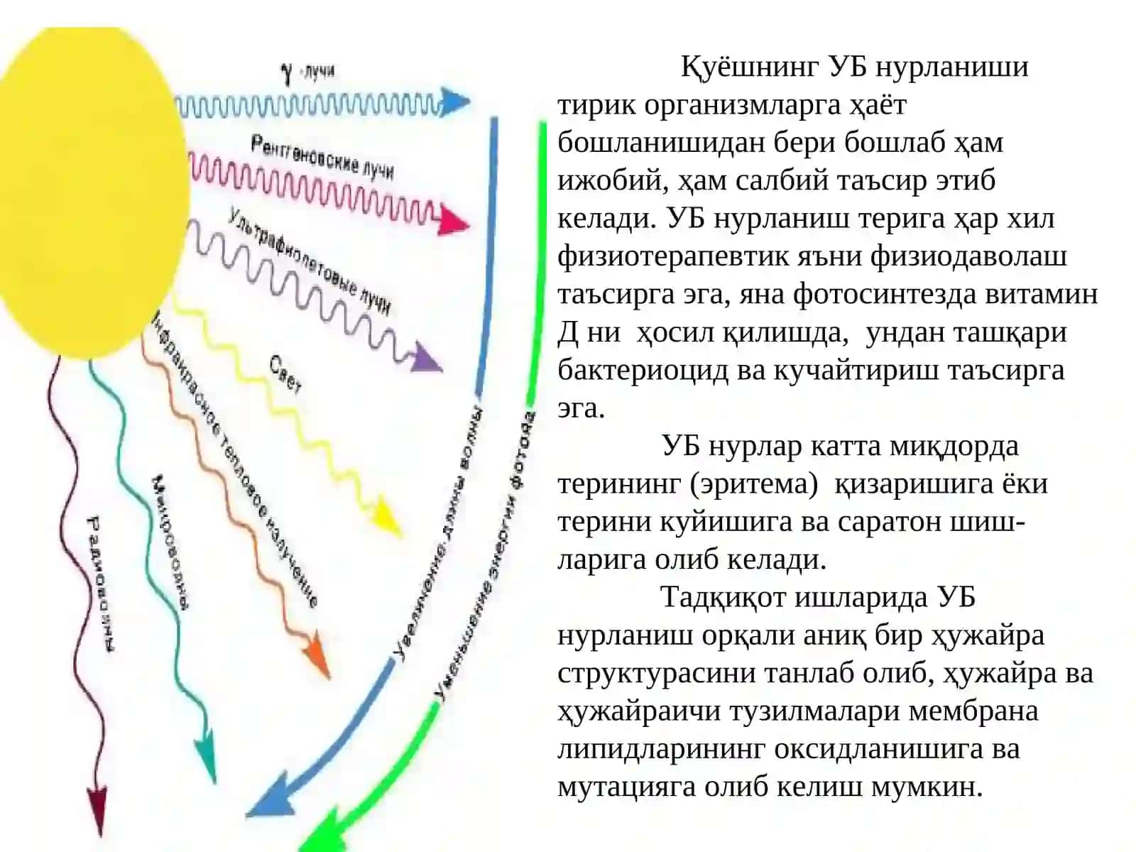 Квант биофизика элементлари 4