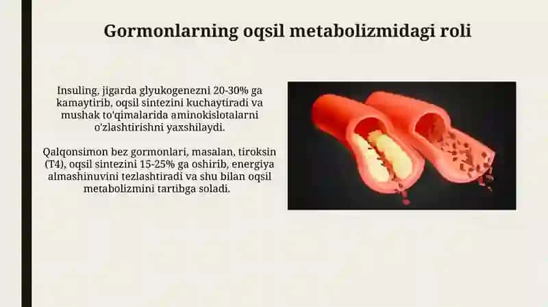 Oqsillar almashinuvi 4
